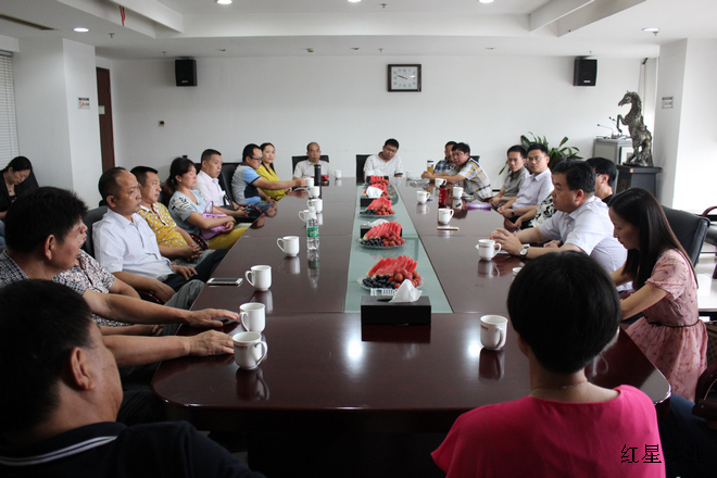 跳马地区人大代表团来红星集团考察调研