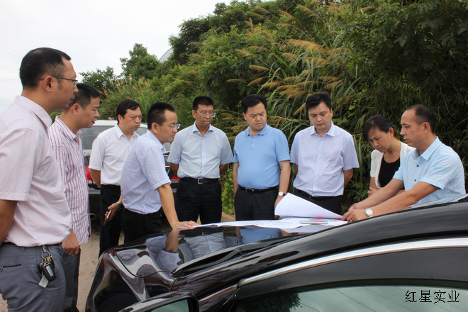 廖健副市长一行调研红星大市场迁建