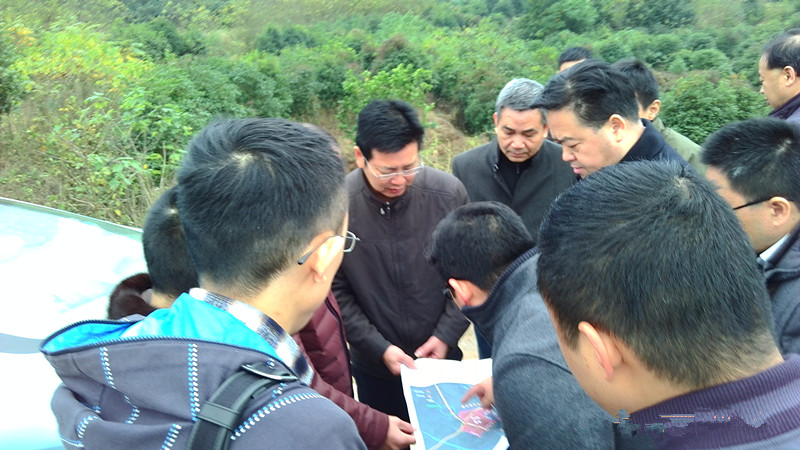 市工务局局长张跃先调研红星市场迁建项目