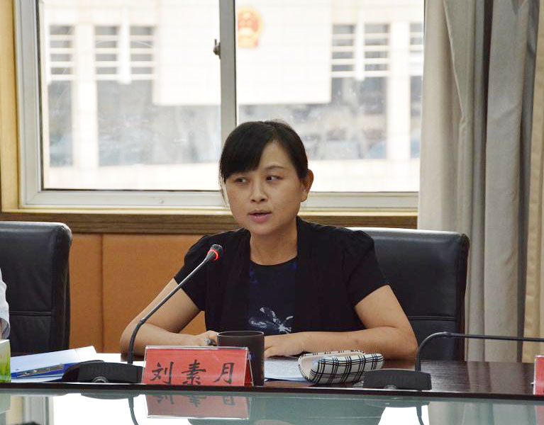 区委副书记刘素月调度红星市场迁建