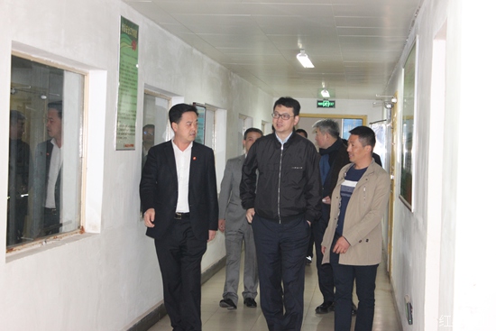 20180316刘洋董事长一行考察红星6.jpg