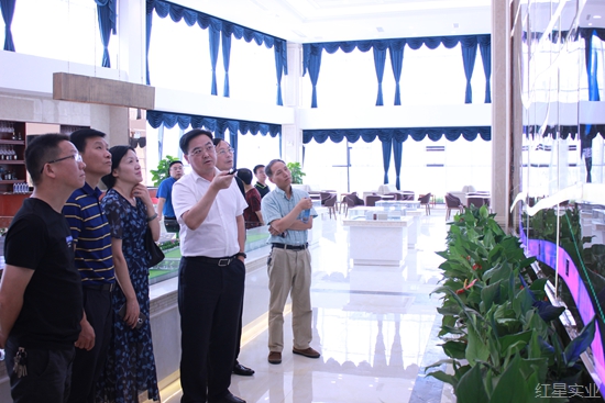 赴红星邀约 聚代表智慧 (2).jpg