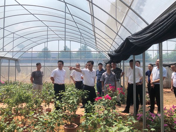 罗跃董事长一行调研兆丰农牧