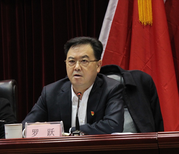 罗跃书记讲话.jpg