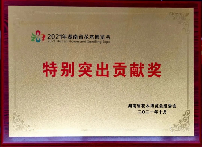 打造“农”字招牌 助推花木产业高质量发展 (1).jpg