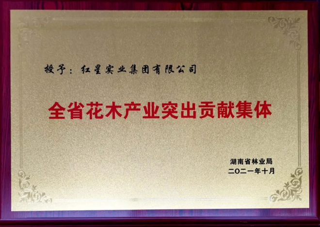 打造“农”字招牌 助推花木产业高质量发展 (2).jpg