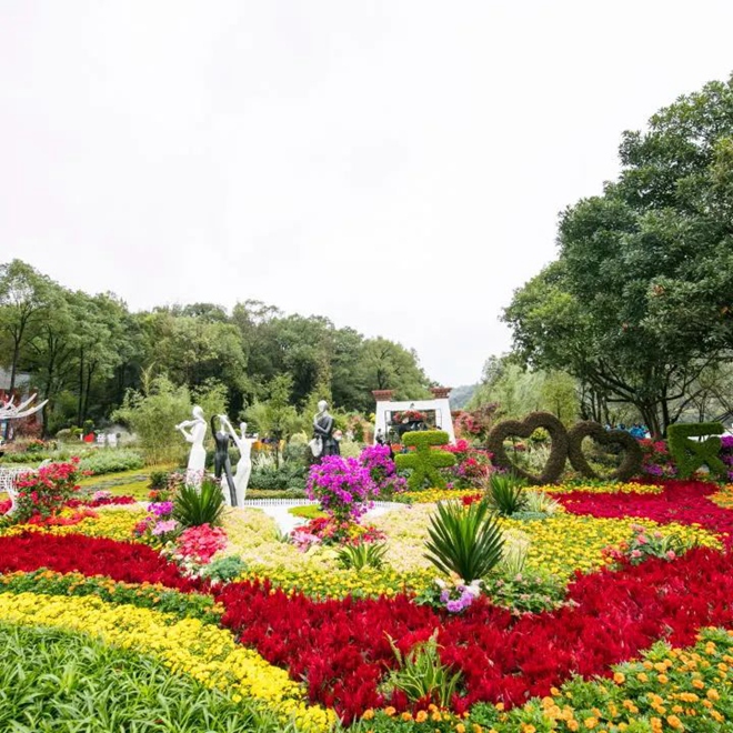 打造“农”字招牌 助推花木产业高质量发展 (3).jpg