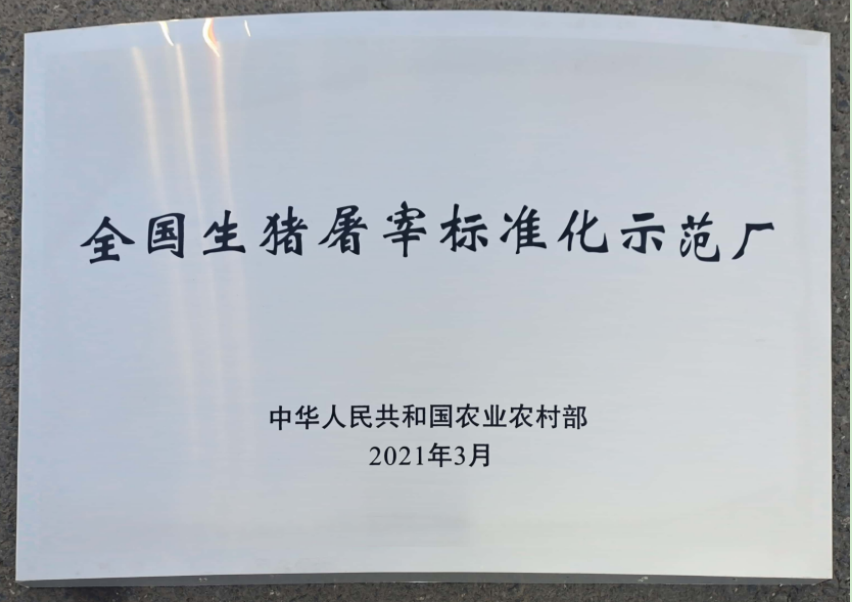 红星盛业荣获“湖南最具成长力品牌”.png 图片